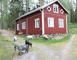 goat housing best shelter guide with