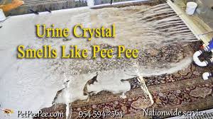 how urine crystals remove from wool rug