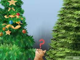 We did not find results for: 3 Ways To Cat Proof Your Christmas Tree Wikihow