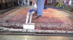 cleaning silk oriental rug pet
