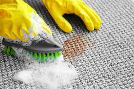 carpet cleaning hacks for summer homes