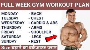gym workout plan for muscle gain