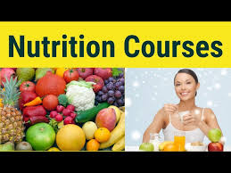 nutrition courses