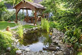 Pond Maintenance Tips For The Summer