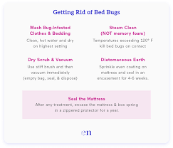 Getting Rid Of Bed Bugs