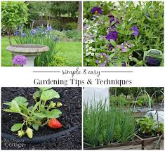 Easy Gardening Tips And Techniques