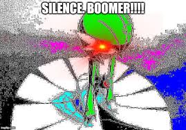 silence boomer flip