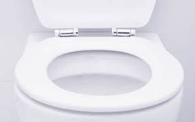 Should You Be Using Toilet Seat Covers