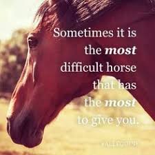73 Inspirational Horse Quotes ideas | horse quotes, inspirational horse  quotes, equestrian quotes