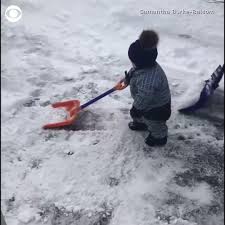 A quick trip to your local big box store will most likely. Cbs News Little Boy Falls While Shoveling Snow In Canada Facebook