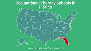 occupational therapy schools in florida