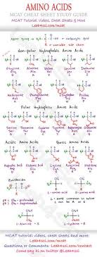 29 Best Amino Acids Images Amino Acids Biochemistry