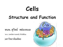 Cell Structure And Function Part 01