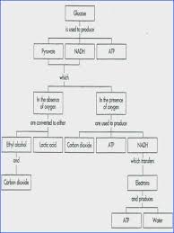 Incident Command System Flow Chart 3 Application Letter