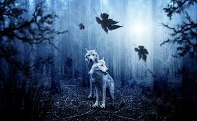 How can i put wallpaper in formica? Wolves 1080p 2k 4k 5k Hd Wallpapers Free Download Wallpaper Flare