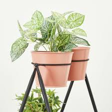 Herb Pots With Plant Stand Set