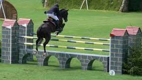 how-high-do-olympic-show-jumpers-jump