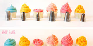 Cupcake Decorating Basic Icing Frosting Piping Techniques