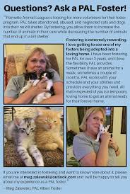Foster volunteers open their homes to provide temporary care for kittens, puppies, cats, and dogs. Foster Palmetto Animal League