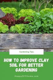 improve clay soil for better gardening