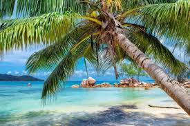 tropical beach in paradise island