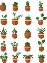 Succulent Icon Vector Art Icons And