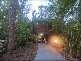 disney treehouse villa review tips for