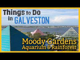 moody gardens guided tour of aquarium