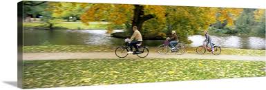 The huge expanse of land with its lovely atmosphere has made vondelpark the preferred destination for many tourists and amsterdam natives for the purpose of relaxation. People Riding Bicycles In A Park Vondelpark Amsterdam Netherlands Wall Art Canvas Prints Framed Prints Wall Peels Great Big Canvas