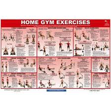 Fitness Exercises Pacific Fitness Zuma Home Gym Exercises