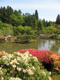 Picture Of Seattle Japanese Garden