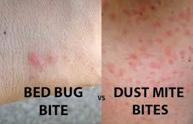 spider mites and bed bugs