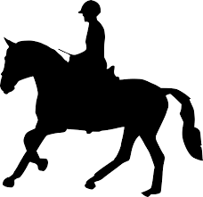 Silhouette Horse Racing Head - Free vector graphic on Pixabay