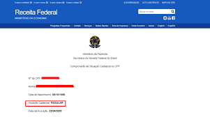 consulte pela internet a situação do cpf