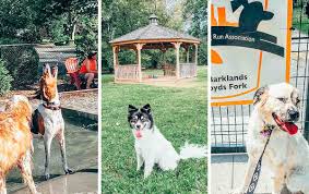 dog parks in louisville cky
