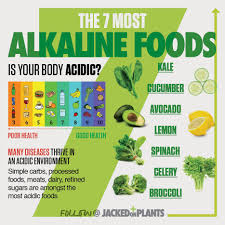 Alkaline Diet For Herpes Herpes Cant Survive Anymore