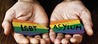 Image result for gay asylum in mexico