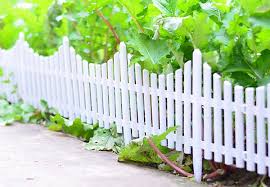10 Pack Of Picket Garden Fence Grabone Nz