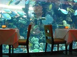 Relaxing Chart House Restaurant Aquarium Golden Nugget Las Vegas