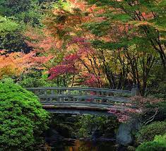 portland japanese garden oregonlive com