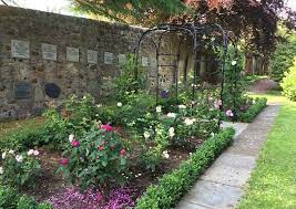 A Fragrant Rose Garden In Edinburgh