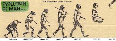 54 Interpretive Evolutionary Stages Of Man Chart