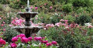 nehru rose garden in ludhiana is a