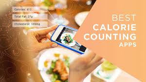 Find fast facts on tens of thousands of foods. 10 Best Calorie Counting Apps To Stay Fit And Track Food Intake