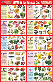 25 X Spectrum Kids Educationl Learning Vitamins For Balance Diet Paper Sticker