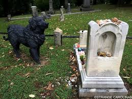 The Hollywood Cemetery Black Iron Dog