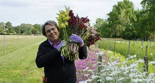 Snip a few stems at. 5 Cool Flowers To Plant Now Lisa Ziegler On Growing Hardy Annuals