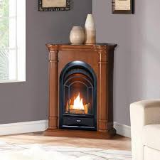 Procom Fs100t 3as Ventless Fireplace
