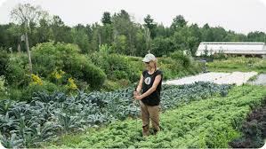 Market Gardening Organic Farming