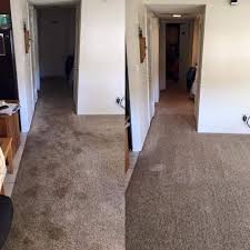 1 carpet cleaning in punta gorda fl